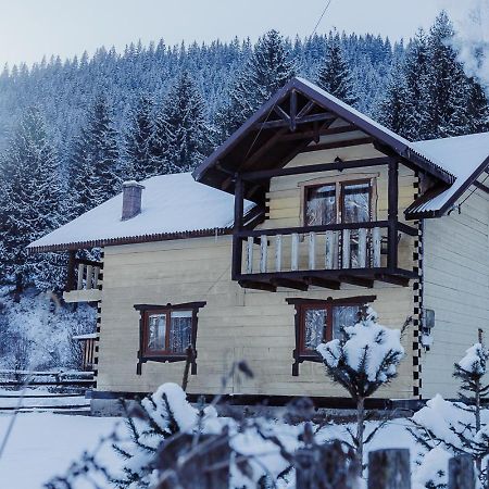 7+Я Villa Verkhovyna Buitenkant foto